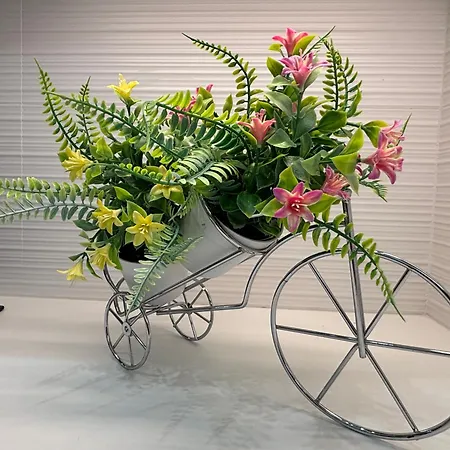 Daire Saint Peter's Sunset View Luxury